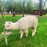 W Baltic Park - Parter Piekny Widok Na Park- Raj Dla Rodzin *