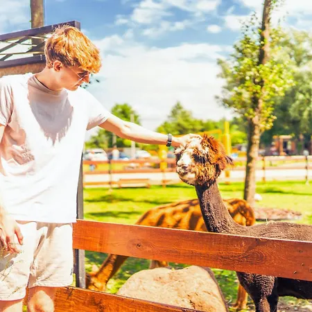 Baltic Park - Wypoczynkowy W Harmonii Z Natura - Parter Z Tarasem Piekny Widok Na Park - Basen- Atrakcje Dla Dzieci Mini Zoo I Alpakami Apartahotel 4*