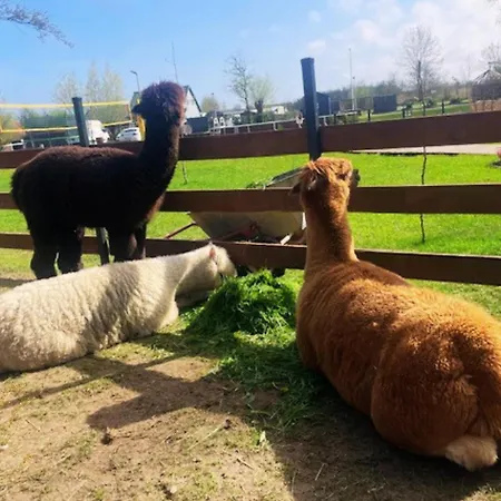 Apartahotel Baltic Park - Wypoczynkowy W Harmonii Z Natura - Parter Z Tarasem Piekny Widok Na Park - Basen- Atrakcje Dla Dzieci Mini Zoo I Alpakami Niechorze