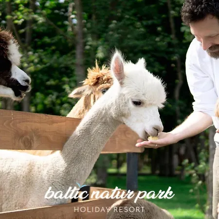 Baltic Park - Wypoczynkowy W Harmonii Z Natura - Parter Z Tarasem Piekny Widok Na Park - Basen- Atrakcje Dla Dzieci Mini Zoo I Alpakami Apartahotel 4*